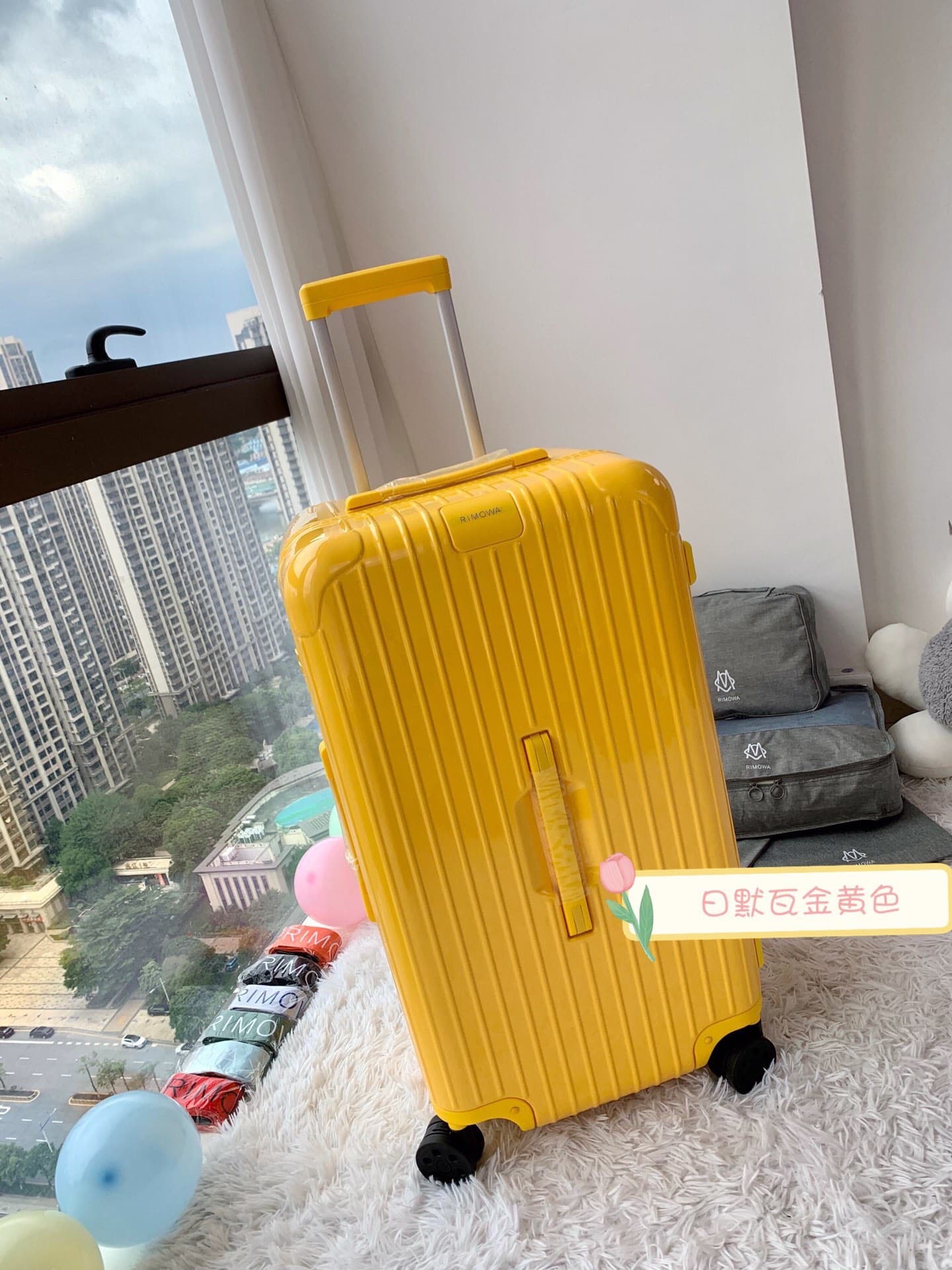 Luggage