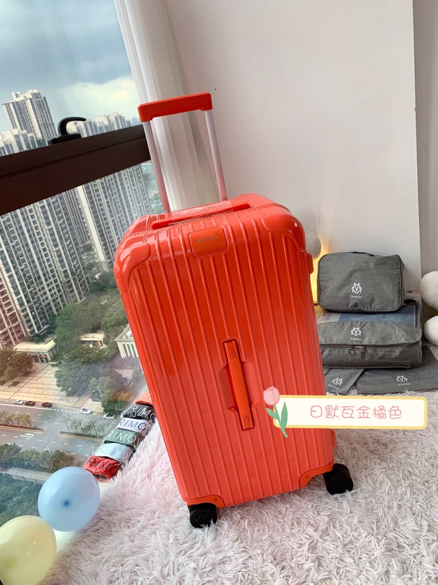 Luggage