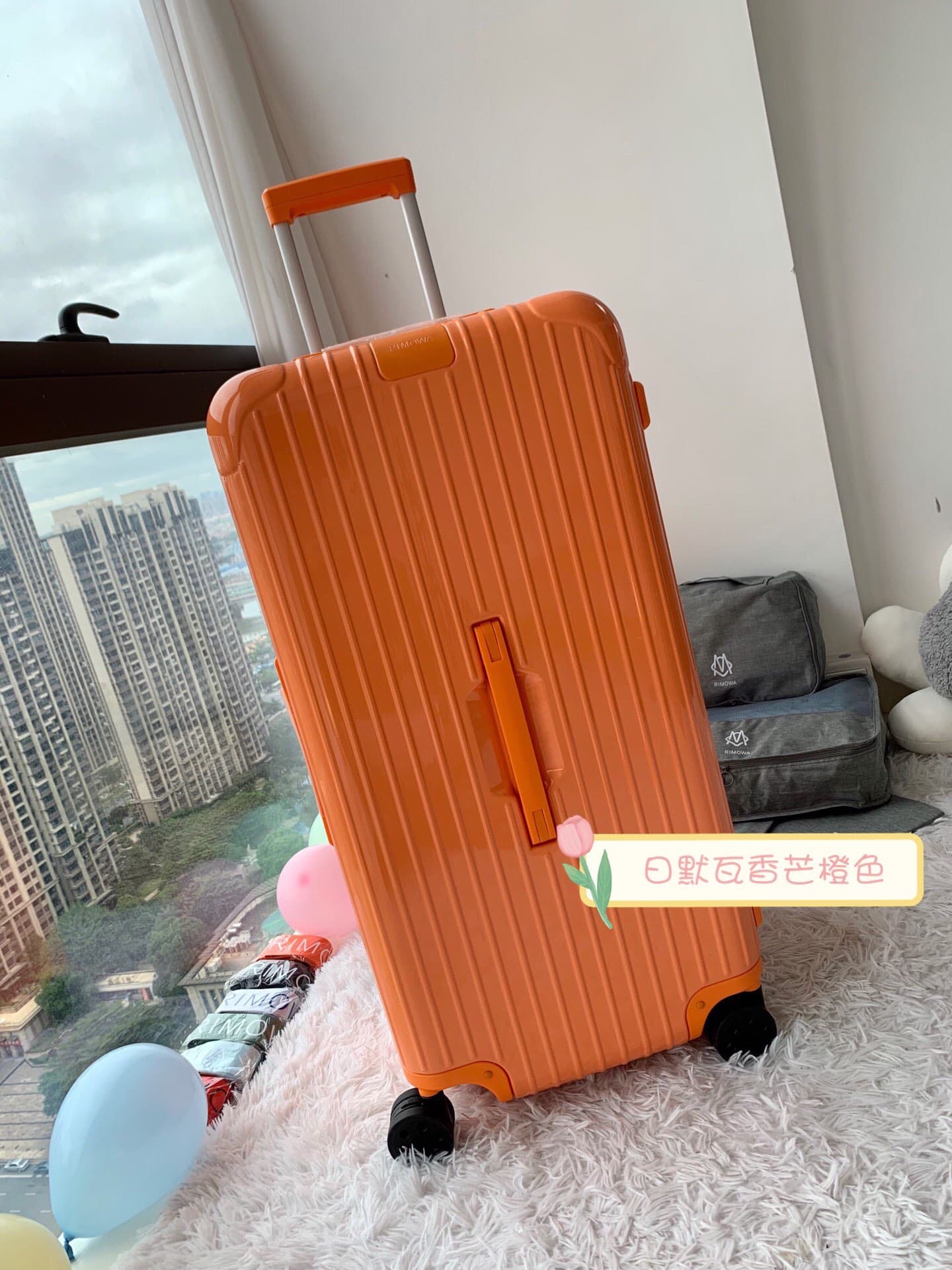 Luggage