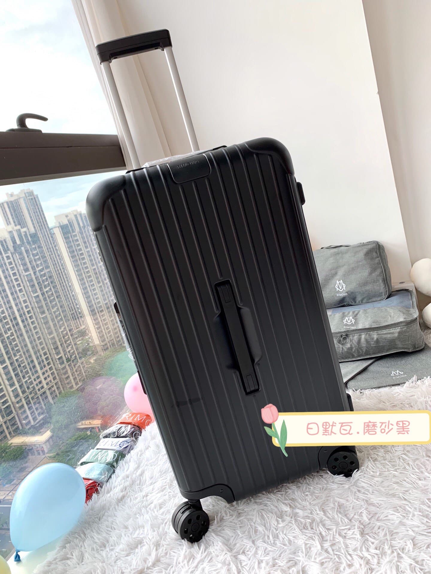 Luggage