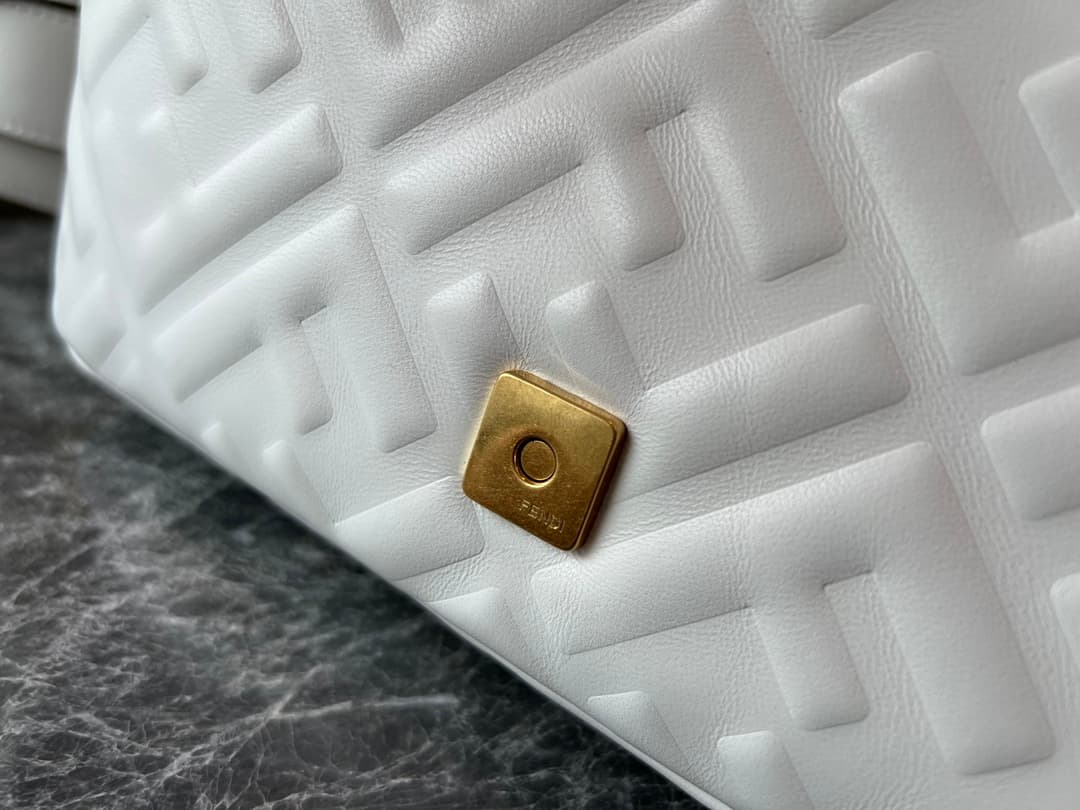 Fendi Bags 7