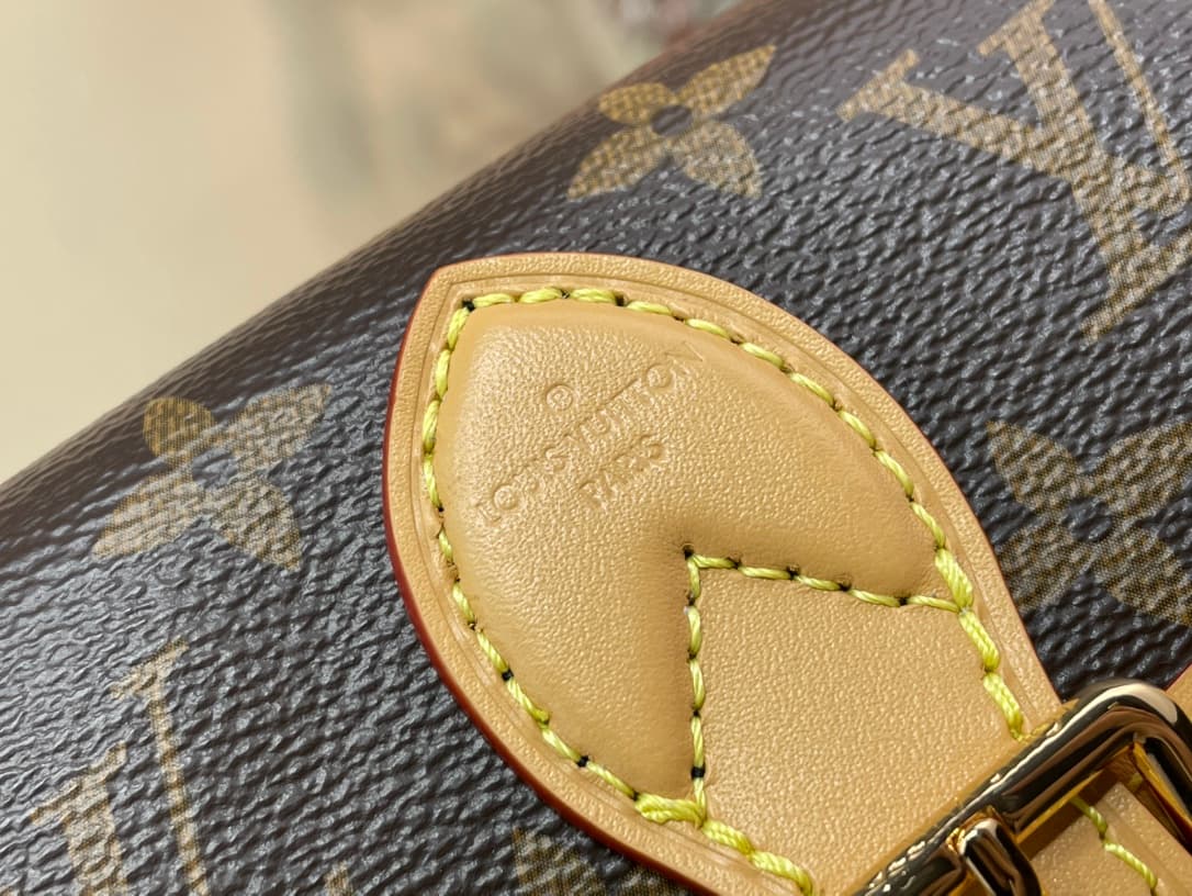 LV Bags 6