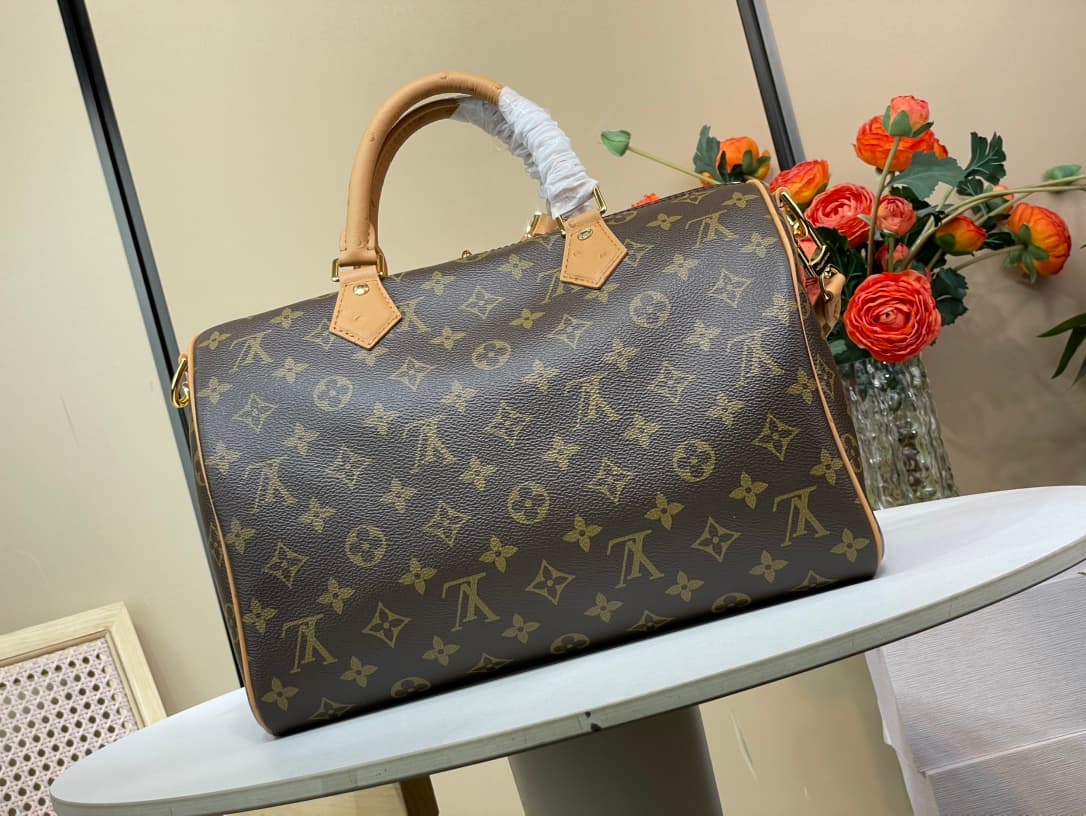 LV Bags 3