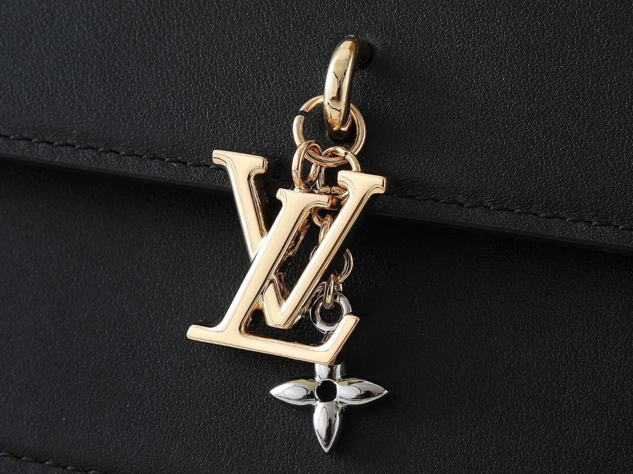 LV Bags 5