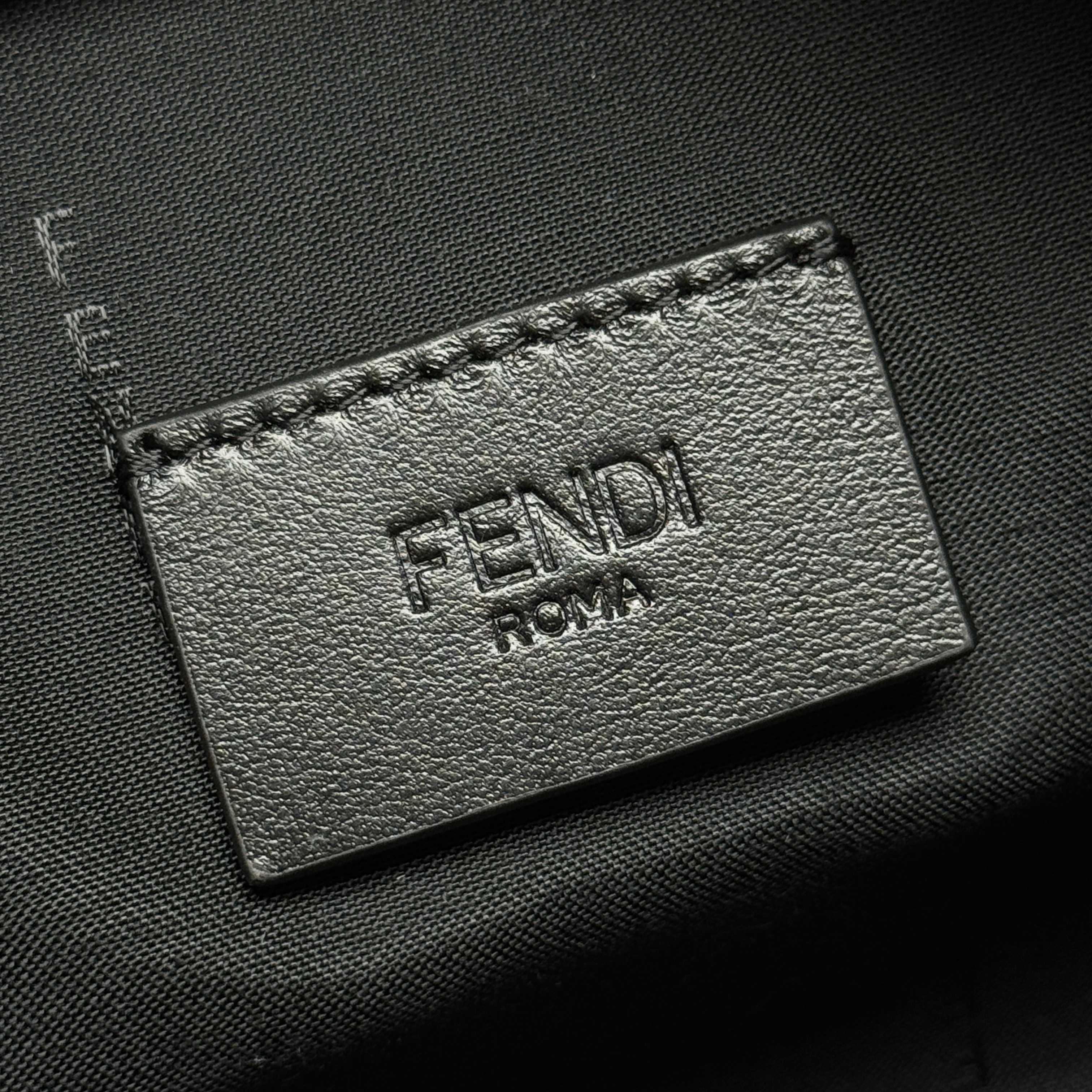 Fendi Bags 8