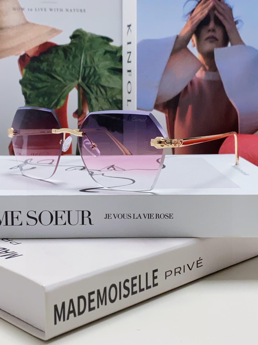 Cartier Glasses